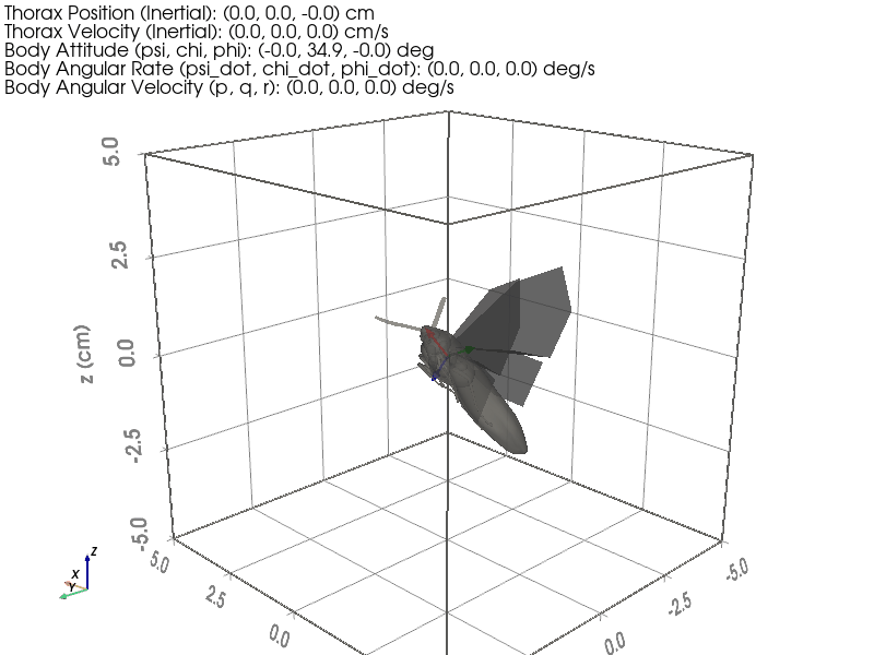 Biomimicry Modeling and Control (animated)